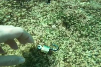 Denizden 'büyü malzemesi' çıkarıyor