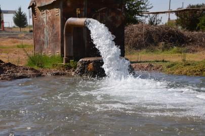 Dicle Elektrik: Tarımsal sulamada kaçak elektrik kullanımı 5 milyar kWh 'ye ulaştı