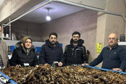 Erzurum’da atık yünler yeşil dönüşümle değer kazanıyor