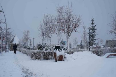 Erzurum’da kar yağışı etkili oluyor