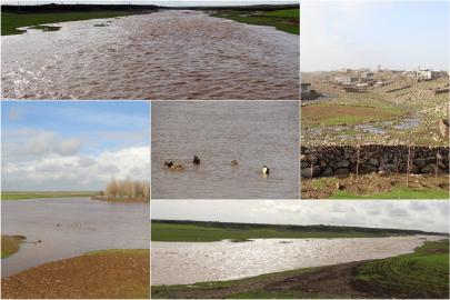 Karacadağ'da dereler doldu taştı göletler suya doydu