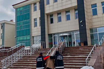 Kars’ta uyuşturucu operasyonu: 6 kilo bonzai üretimi engellendi