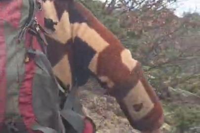 Kuş gözlemi için çıktığı arazide ayı ile karşı karşıya kaldı... Korku dolu anlar kamerada