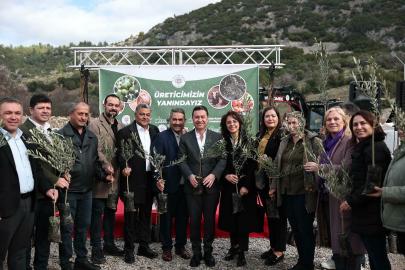 Menteşe'de üreticilere 50 bin meyve fidanı dağıtıldı