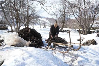 Muş’ta besicilerin asırlık geven otu geleneği sürüyor