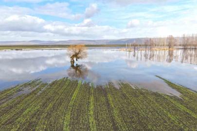 Muş’ta eriyen kar ve sağanak ovayı sular altında bıraktı