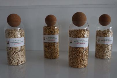 Şanlıurfa’da ata tohumları çiftçilerle buluşuyor