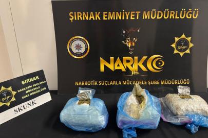 Şırnak’ta 1 kilo 431 gram skunk ele geçirildi