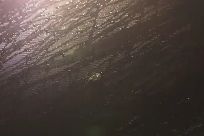 Trabzonspor takım otobüsüne Samsun'da taşlı saldırı!