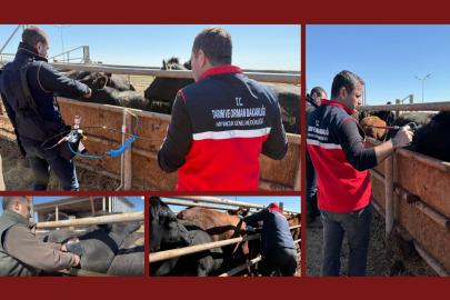 Aşıların "iğnesiz enjeksiyon yöntemi" ile uygulanmasına yönelik ilk adım