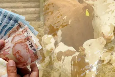 Çiftçilere 10,7 milyar TL tarımsal destek ödemesi yapılacak