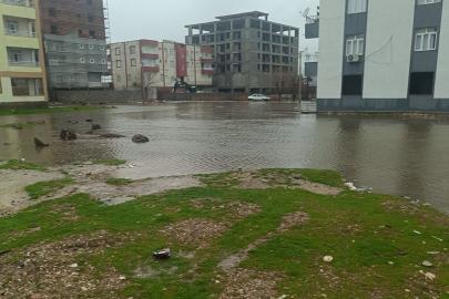 Diyarbakır'da kanalizasyon taşkını: Sokak göle döndü