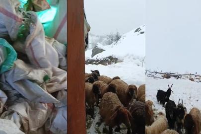 Hakkari’de 1,5 metrelik kar: Çiftçiler çaresiz