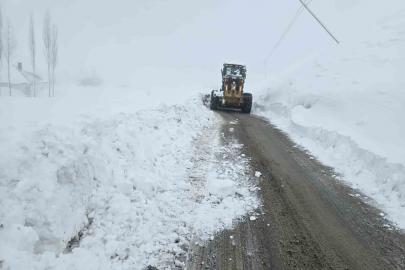 Hakkari’de 61 yerleşim yerinin yolu kapandı