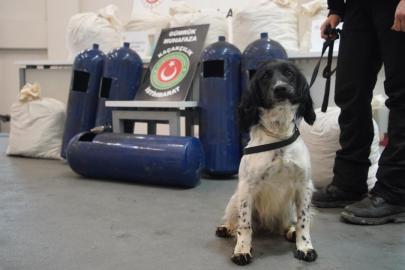 Hassas burunlar gizlenen uyuşturucuları buldu