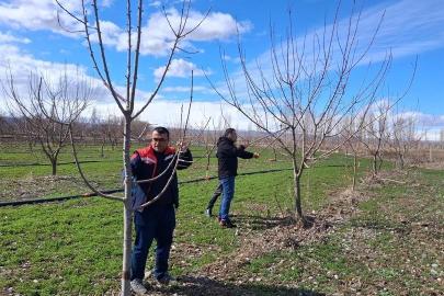 Iğdır’da çiftçilere uygulamalı meyve ağacı budama eğitimi