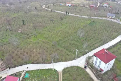 Ordu Büyükşehir’den Kumru’da yol seferberliği