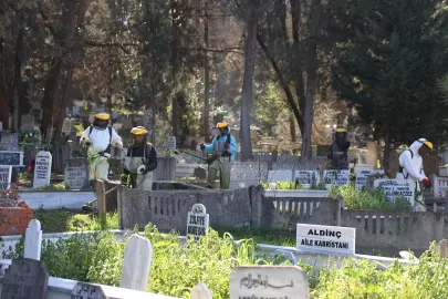 Sakarya'nın 16 ilçesindeki mezarlıklar bayrama hazırlanıyor