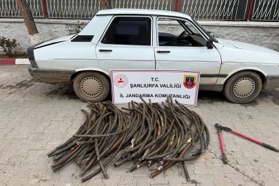 Şanlıurfa'da bakır kablo hırsızlığı: 1 gözaltı