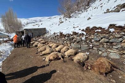Van’da ahırda feci yangın: 67 küçükbaş hayvan telef oldu
