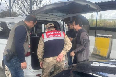 Batman'da biyokaçakçılığa yönelik denetimler artırıldı