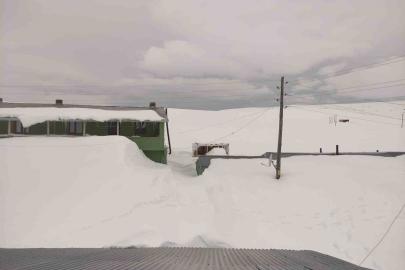 Bülbülan Yaylası’nda evler kara gömüldü