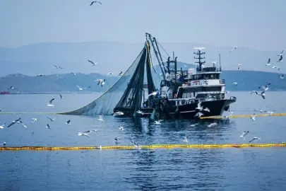 Denizlerde av yasağı 15 Nisan’da başlıyor