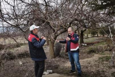 Elazığ’da zirai don mesaisi
