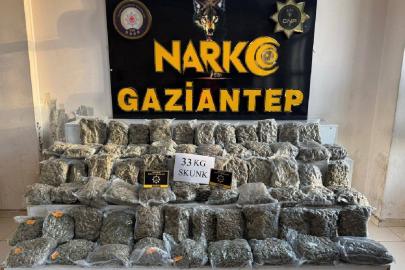 Gaziantep'te 33 kilogram skunk ele geçirildi: 1 tutuklama