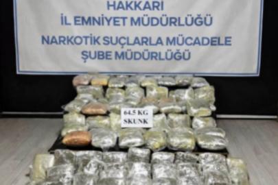 Hakkari’de 64,5 kilogram skunk ele geçirildi