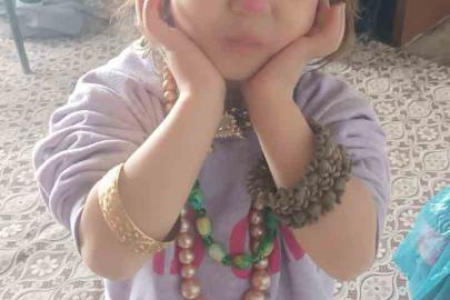 Hizan’da kayıp kız çocuğu için arama çalışması başlatıldı