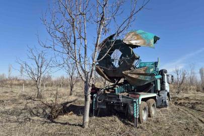 Iğdır’da 15-16 yıllık 77 kiraz ağacı taşınarak kesilmekten kurtarıldı