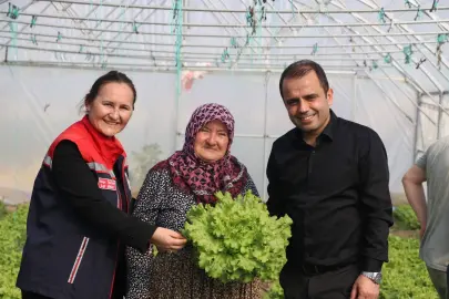 İpsala Esetçe’de 'Meryem Teyze' örneği... Yüzde 75 hibeli serada verimlilik artıyor