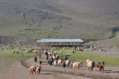Kurbanlıkta sıkıntı yok, besicilerin gündemi yer sorunu