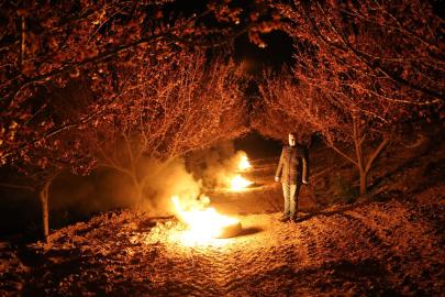 Malatya'da zirai don alarmı: Çiftçiler ateşle önlem aldı