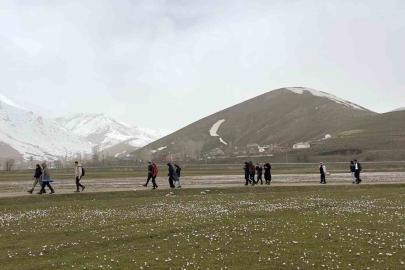Üniversite öğrencilerinden çiğdemler arasında doğa yürüyüşü