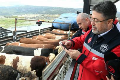 Bakan Yumaklı: Kurbanlık hayvan arzında herhangi bir problem yok