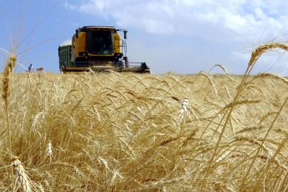Çiftçilere tarımsal destekleme ödemesi bugün yapılacak