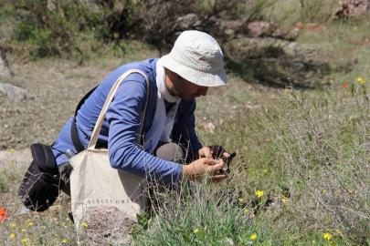 Darende’de flora projesi için ilk saha çalışması tamamlandı