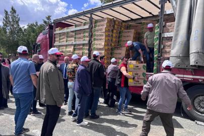 Erzincan’da 220 üreticiye 779 bin 520 sebze fidesi dağıtıldı