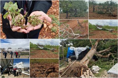 Gaziantep İl Tarım ve Orman Müdürü Sağlam: 433 köy, 114 mahallede tarım alanı etkilendi