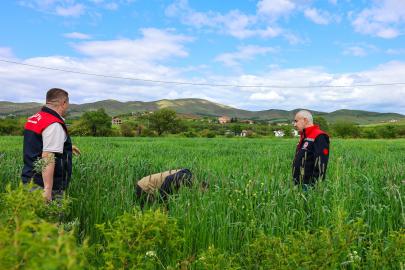 Malatya'da hububat ekili alanlarda inceleme yapıldı