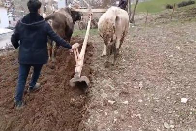 Zamana direnen gelenek: Bahçesaray’da traktörün giremediği dik yamaçlarda karasaban mesaisi