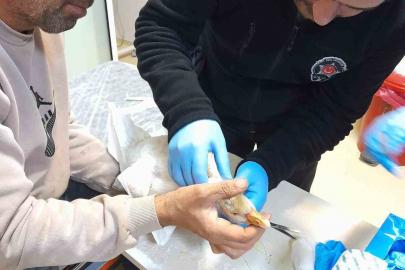 Atmacanın saldırdığı yavru kazı devlet hastanesine götürdü: İlk müdahaleyi güvenlik görevlisi yaptı