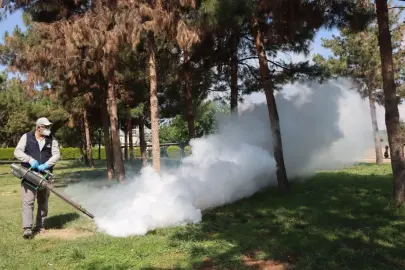 Belediyeden haşereye karşı seferberlik
