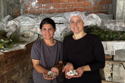 İpek böcekçiliği yaparak aile bütçelerine katkı sağlıyorlar