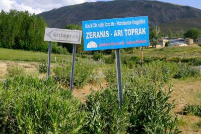 Van’da kuduz alarmı