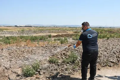 Balıkesir'de ilaçlama ekipleri 7/24 sahada