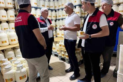 Elazığ’da tulum peynirinde üretim süreci yerinde incelendi