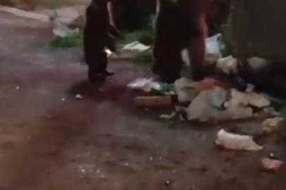 Kars’ta vatandaş ayılara türkü söyledi, o anlar sosyal medyayı salladı